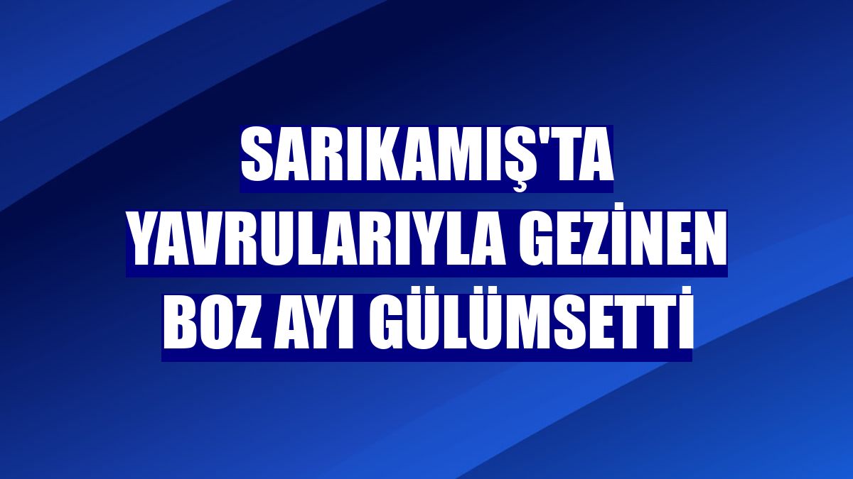 Sarıkamış'ta yavrularıyla gezinen boz ayı gülümsetti