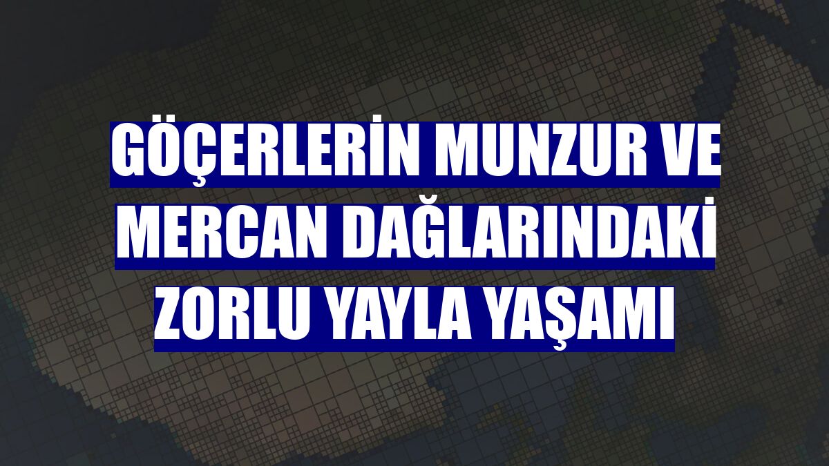 Göçerlerin Munzur ve Mercan dağlarındaki zorlu yayla yaşamı