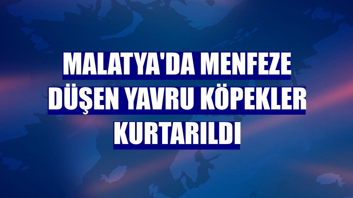 Malatya'da menfeze düşen yavru köpekler kurtarıldı