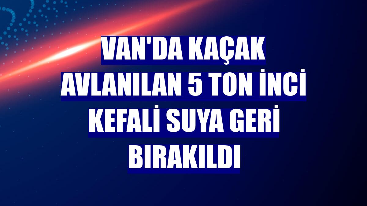 Van'da kaçak avlanılan 5 ton inci kefali suya geri bırakıldı