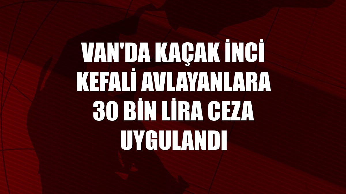 Van'da kaçak inci kefali avlayanlara 30 bin lira ceza uygulandı