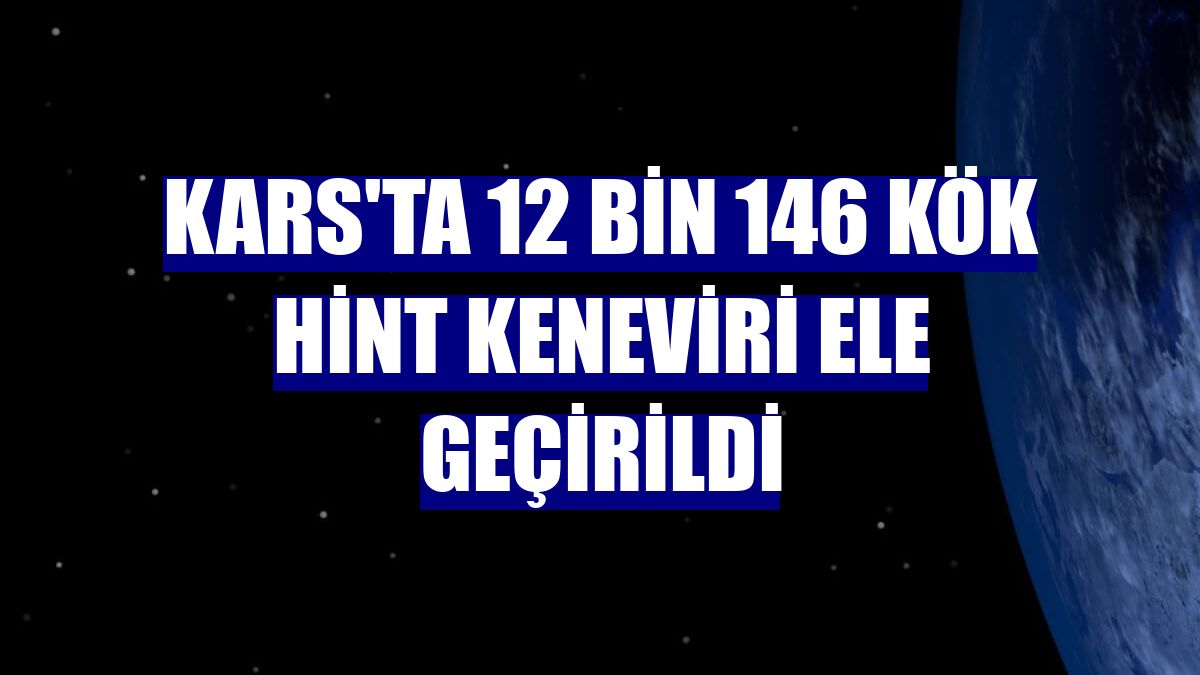 Kars'ta 12 bin 146 kök Hint keneviri ele geçirildi