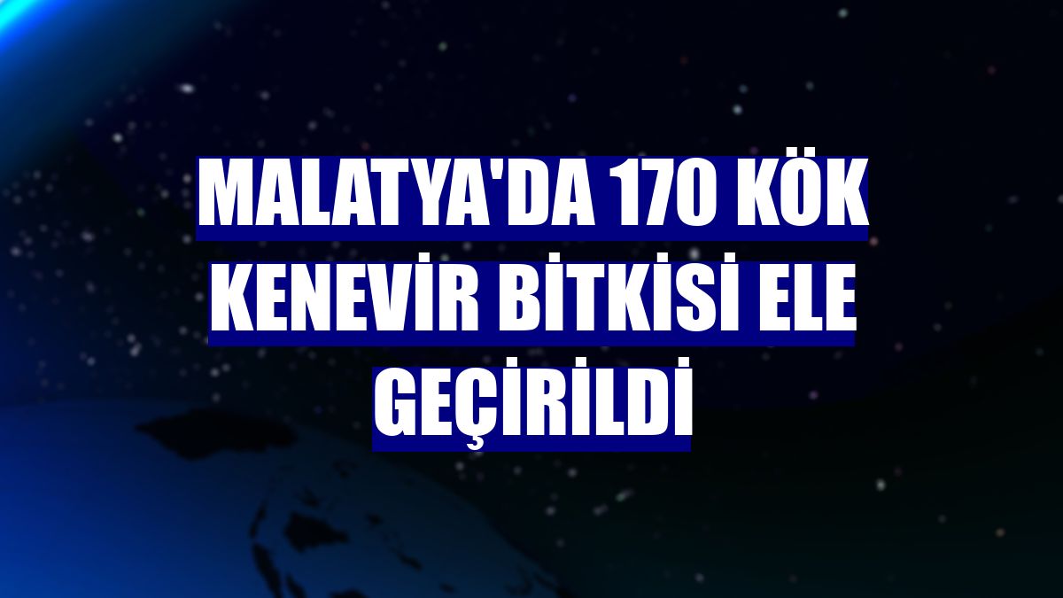 Malatya'da 170 kök kenevir bitkisi ele geçirildi