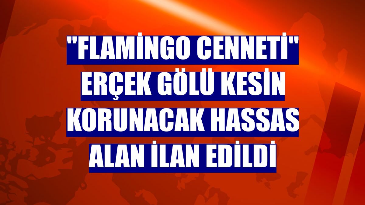 "Flamingo cenneti" Erçek Gölü kesin korunacak hassas alan ilan edildi