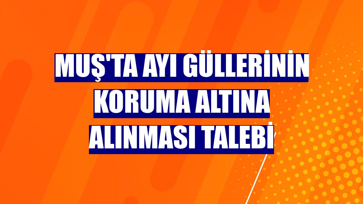 Muş'ta ayı güllerinin koruma altına alınması talebi