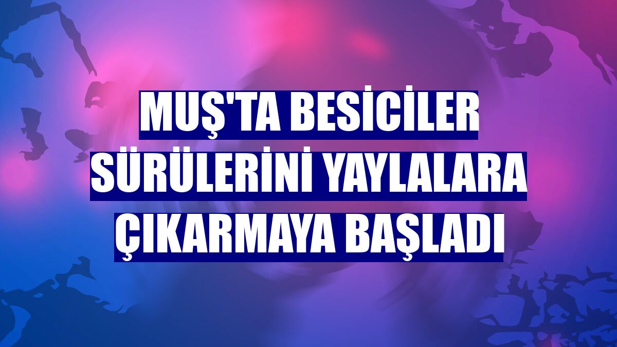 Muş'ta besiciler sürülerini yaylalara çıkarmaya başladı