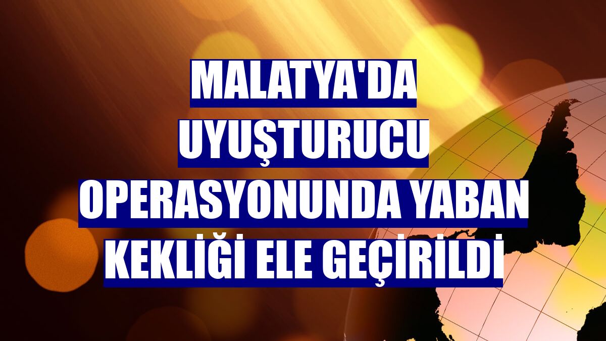 Malatya'da uyuşturucu operasyonunda yaban kekliği ele geçirildi