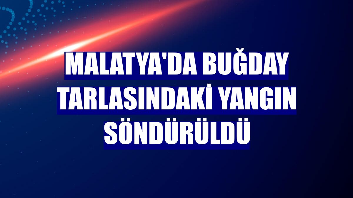 Malatya'da buğday tarlasındaki yangın söndürüldü