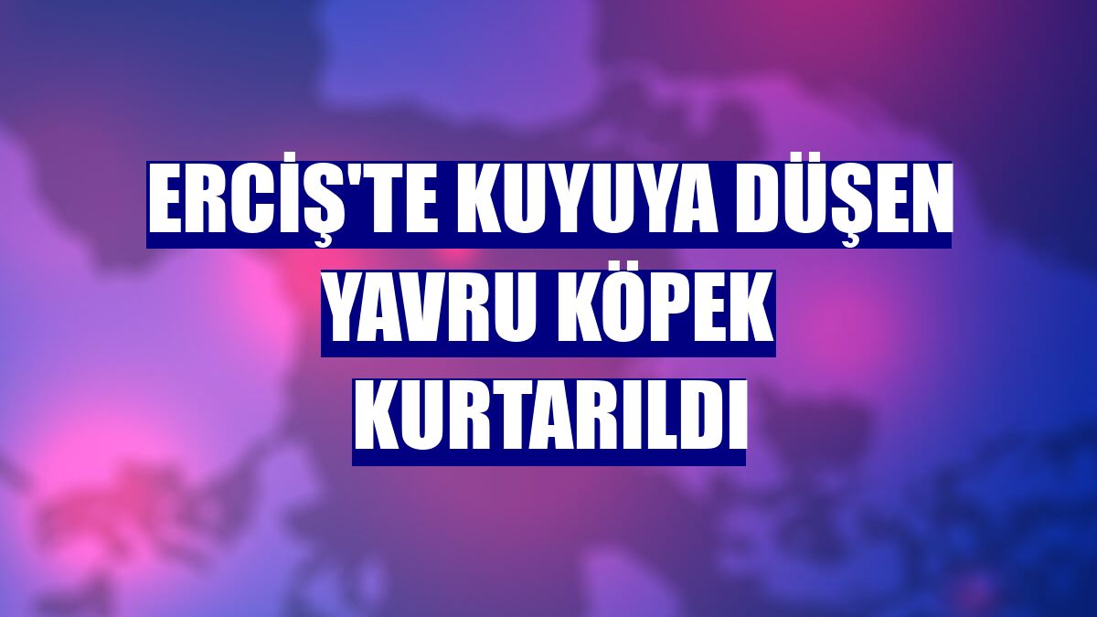 Erciş'te kuyuya düşen yavru köpek kurtarıldı