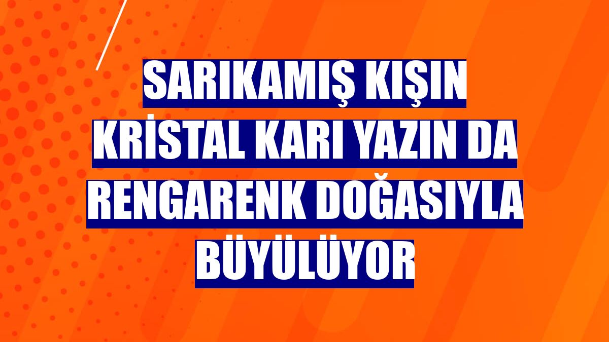 Sarıkamış kışın kristal karı yazın da rengarenk doğasıyla büyülüyor