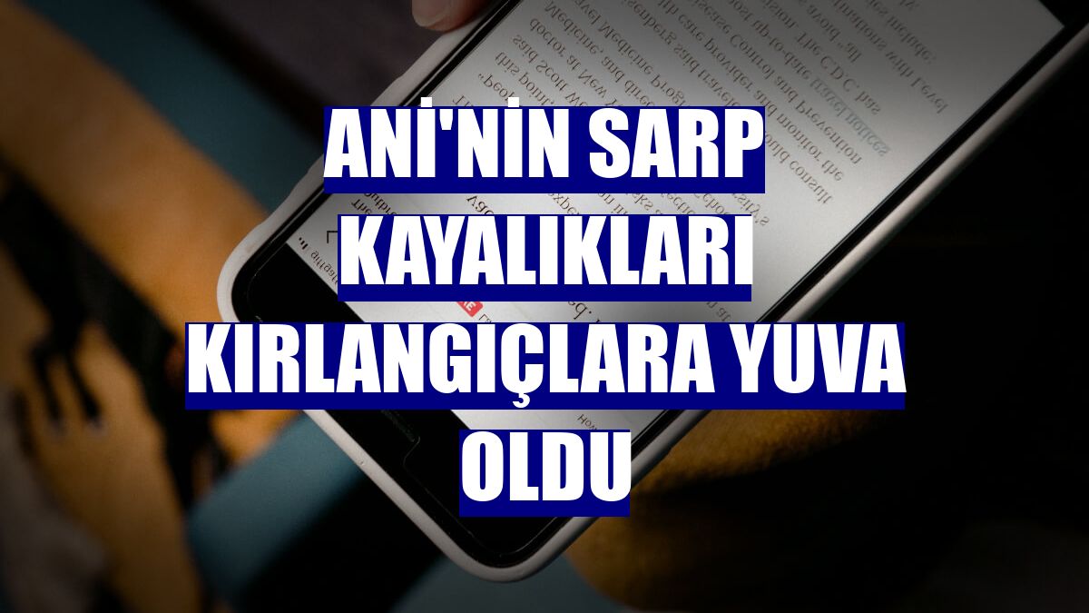 Ani'nin sarp kayalıkları kırlangıçlara yuva oldu
