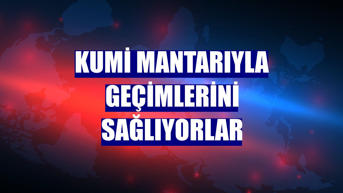 Kumi mantarıyla geçimlerini sağlıyorlar