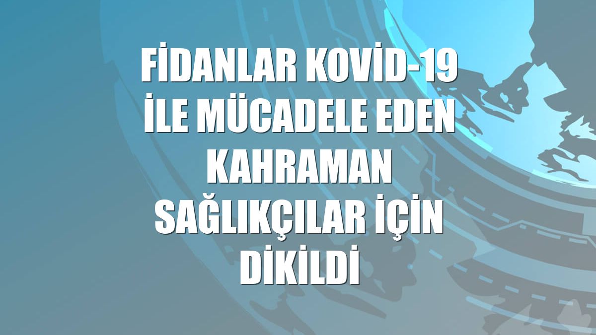 Fidanlar Kovid-19 ile mücadele eden kahraman sağlıkçılar için dikildi