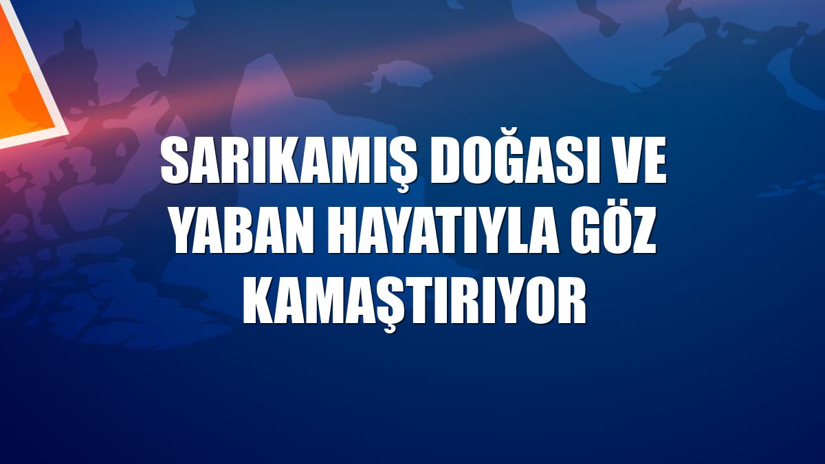 Sarıkamış doğası ve yaban hayatıyla göz kamaştırıyor