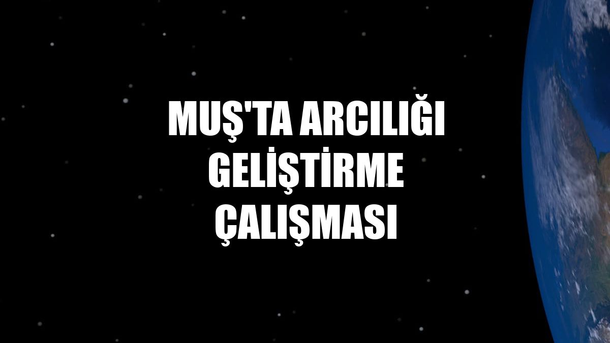 Muş'ta arcılığı geliştirme çalışması