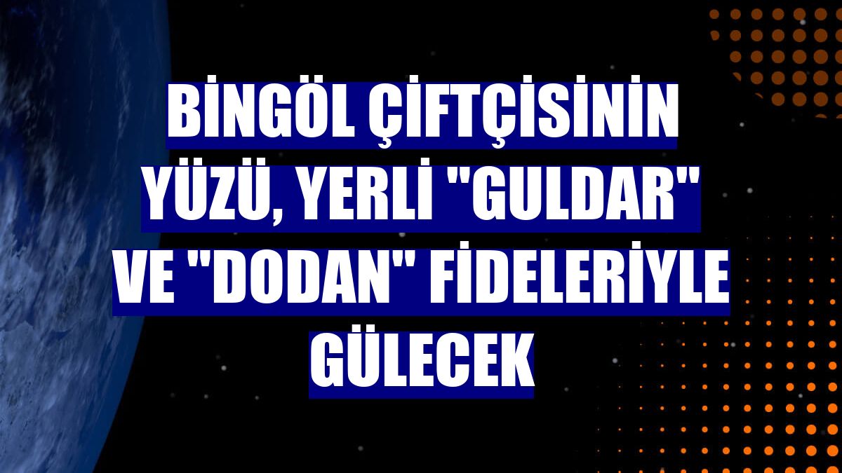 Bingöl çiftçisinin yüzü, yerli "Guldar" ve "Dodan" fideleriyle gülecek