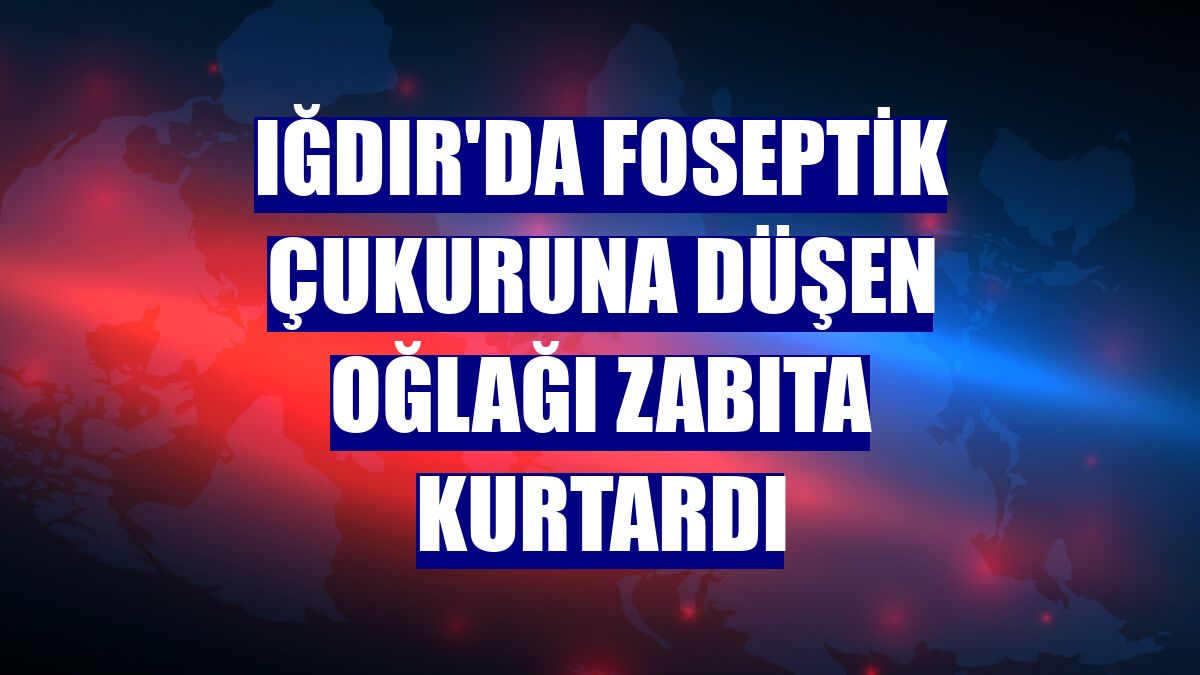 Iğdır'da foseptik çukuruna düşen oğlağı zabıta kurtardı