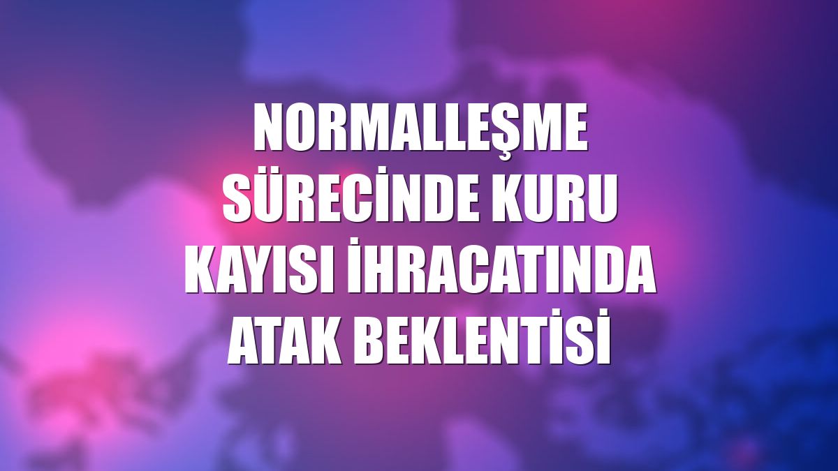 Normalleşme sürecinde kuru kayısı ihracatında atak beklentisi