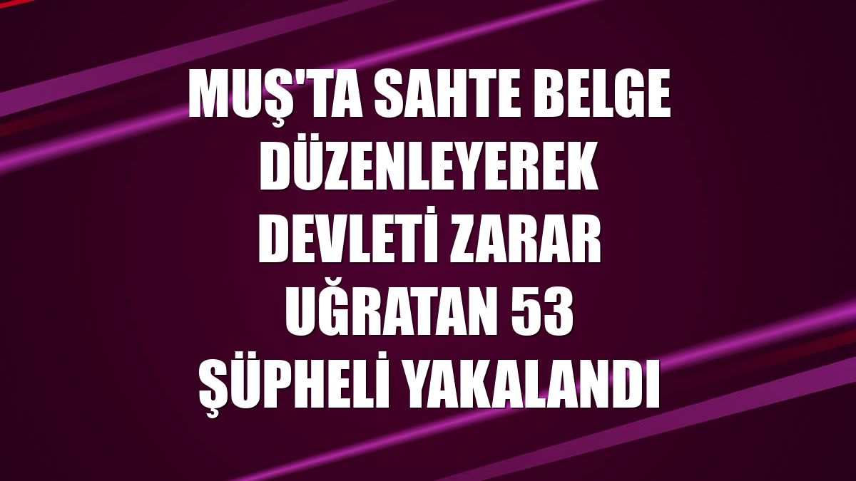 Muş'ta sahte belge düzenleyerek devleti zarar uğratan 53 şüpheli yakalandı