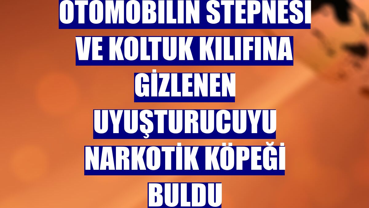 Otomobilin stepnesi ve koltuk kılıfına gizlenen uyuşturucuyu narkotik köpeği buldu