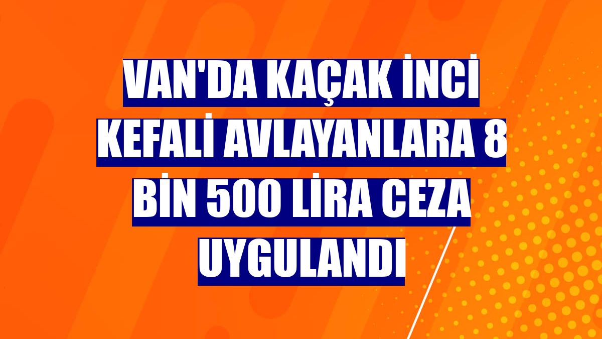 Van'da kaçak inci kefali avlayanlara 8 bin 500 lira ceza uygulandı