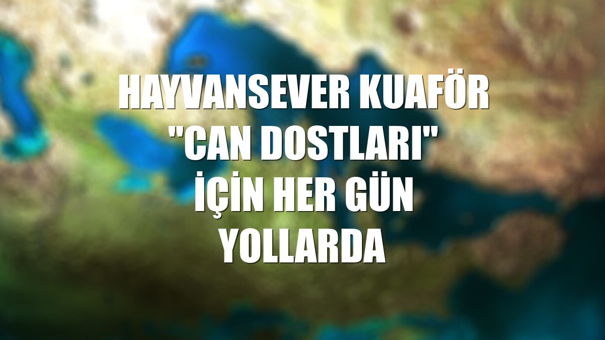Hayvansever kuaför "can dostları" için her gün yollarda