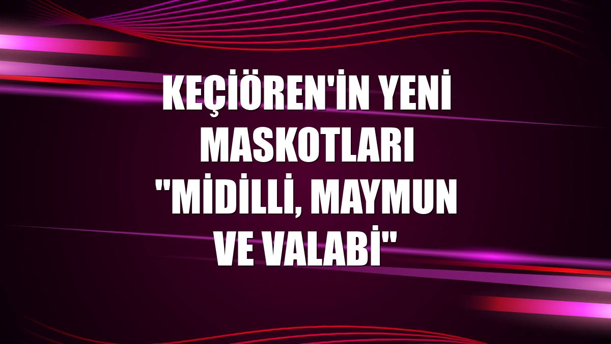 Keçiören'in yeni maskotları "midilli, maymun ve valabi"