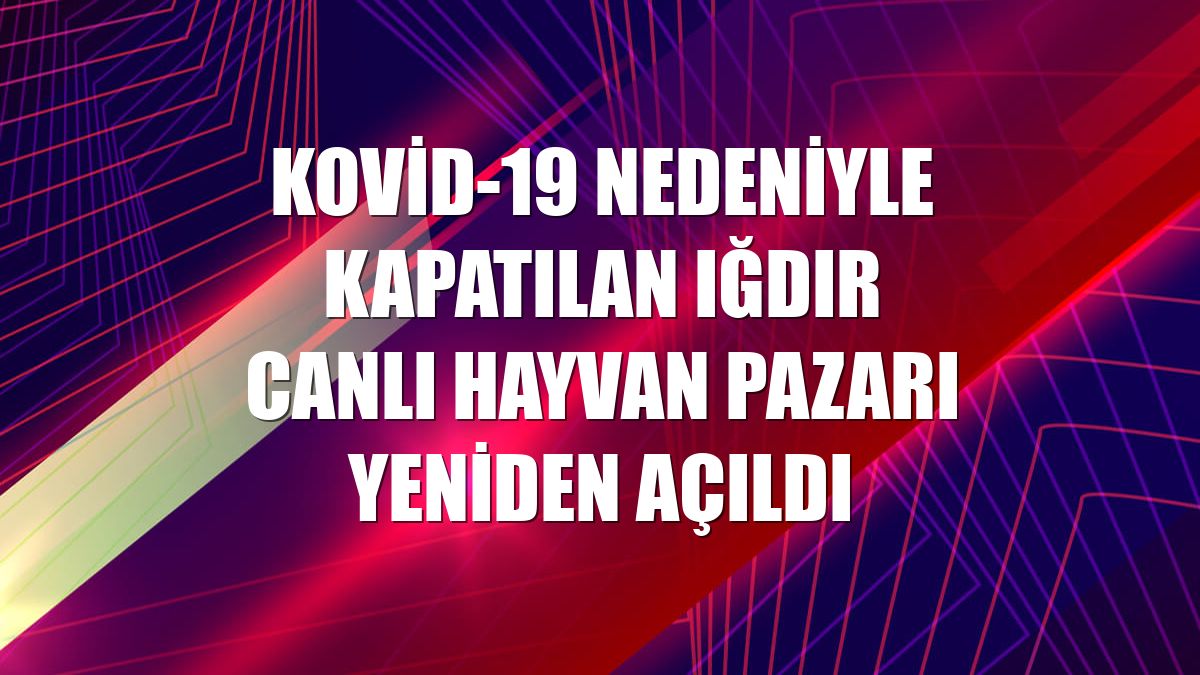 Kovid-19 nedeniyle kapatılan Iğdır Canlı Hayvan Pazarı yeniden açıldı