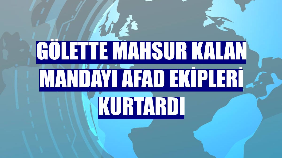 Gölette mahsur kalan mandayı AFAD ekipleri kurtardı