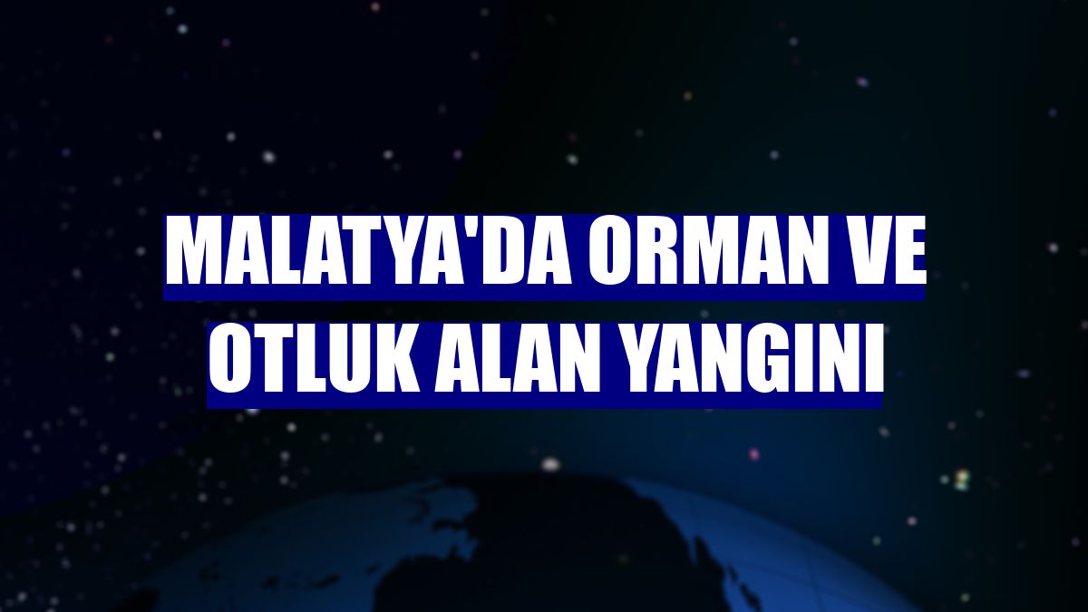 Malatya'da orman ve otluk alan yangını