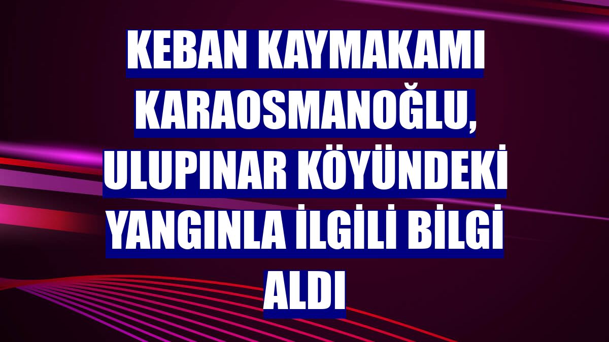 Keban Kaymakamı Karaosmanoğlu, Ulupınar köyündeki yangınla ilgili bilgi aldı