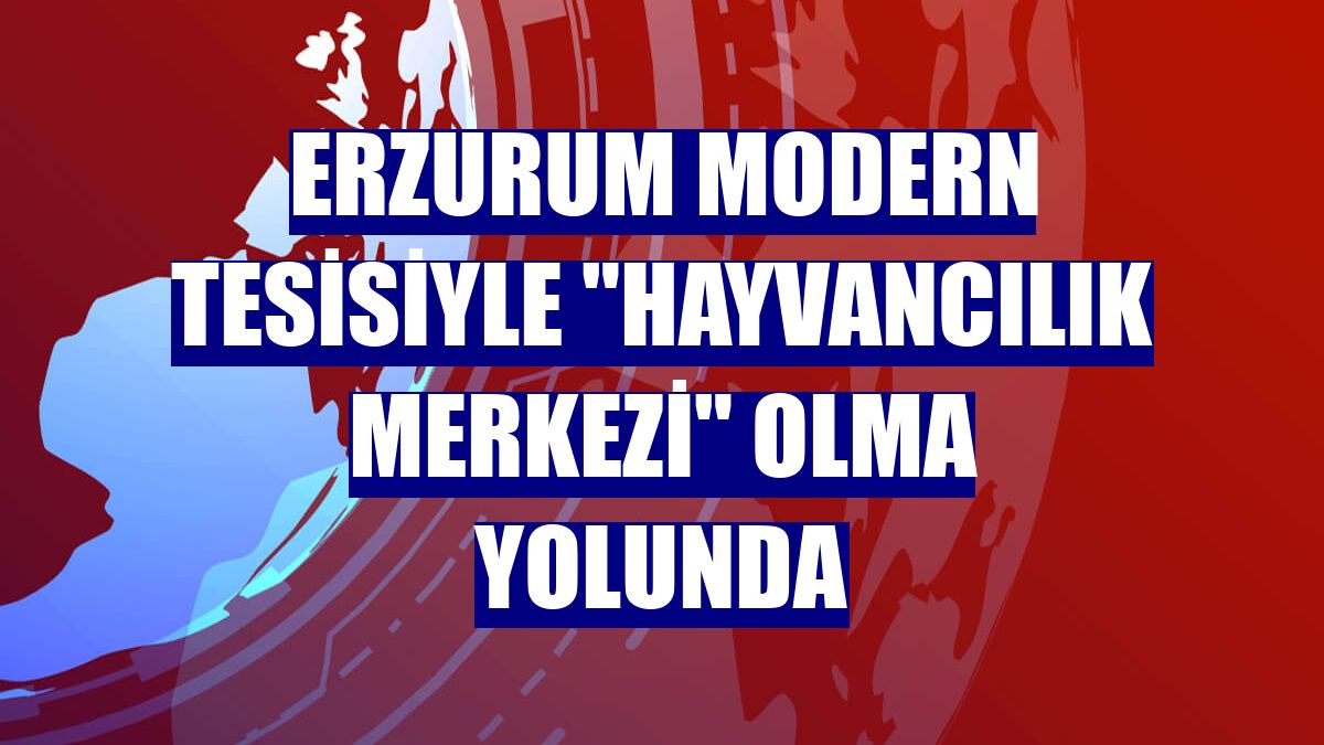 Erzurum modern tesisiyle "hayvancılık merkezi" olma yolunda