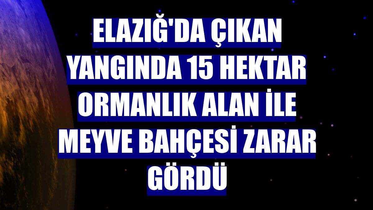 Elazığ'da çıkan yangında 15 hektar ormanlık alan ile meyve bahçesi zarar gördü