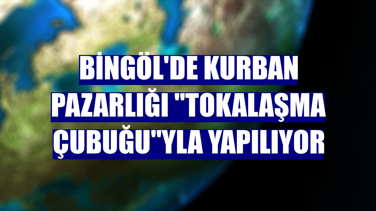 Bingöl'de kurban pazarlığı "tokalaşma çubuğu"yla yapılıyor