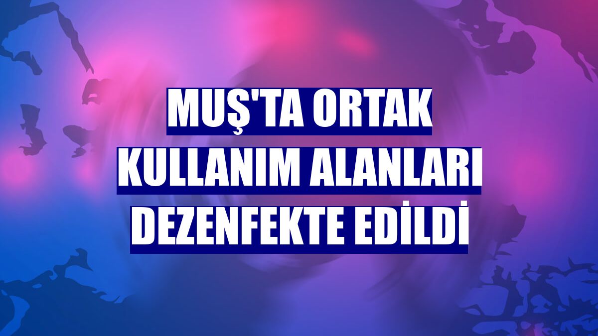 Muş'ta ortak kullanım alanları dezenfekte edildi