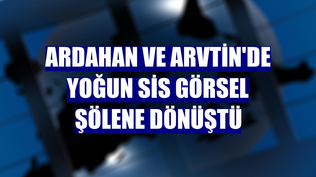 Ardahan ve Arvtin'de yoğun sis görsel şölene dönüştü