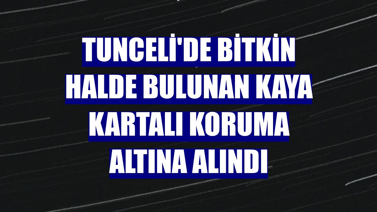 Tunceli'de bitkin halde bulunan kaya kartalı koruma altına alındı