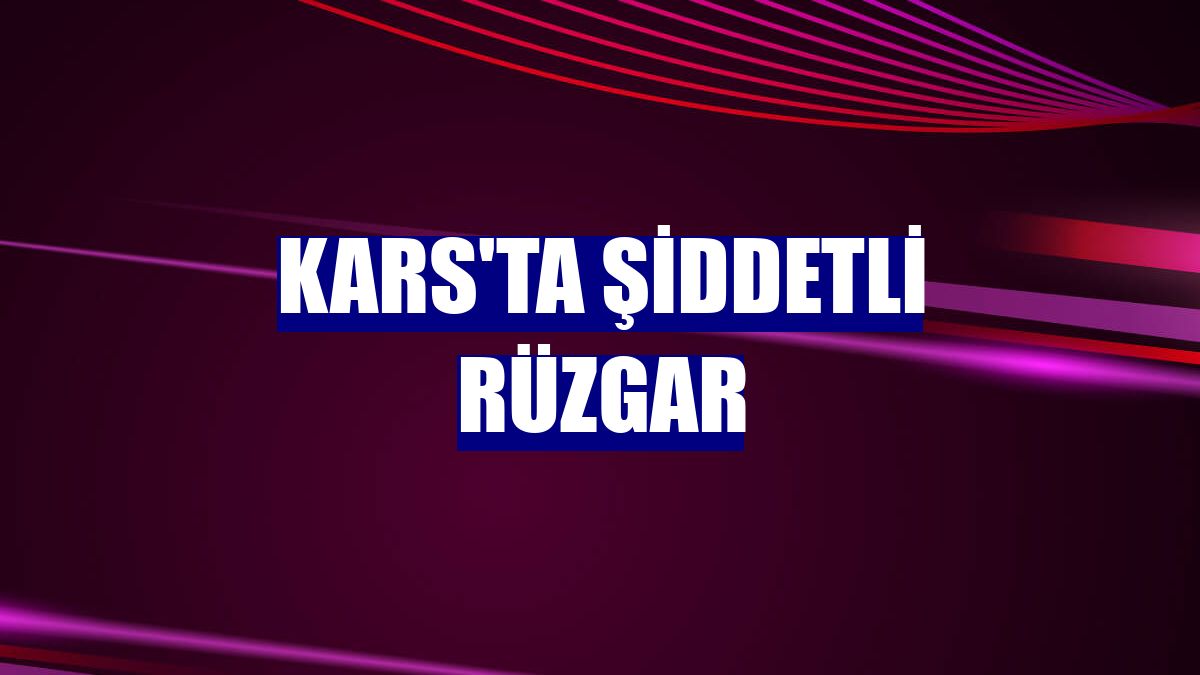 Kars'ta şiddetli rüzgar