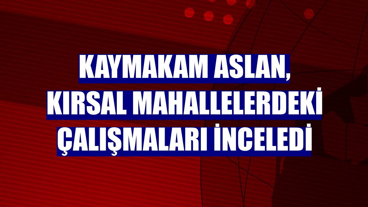 Kaymakam Aslan, kırsal mahallelerdeki çalışmaları inceledi