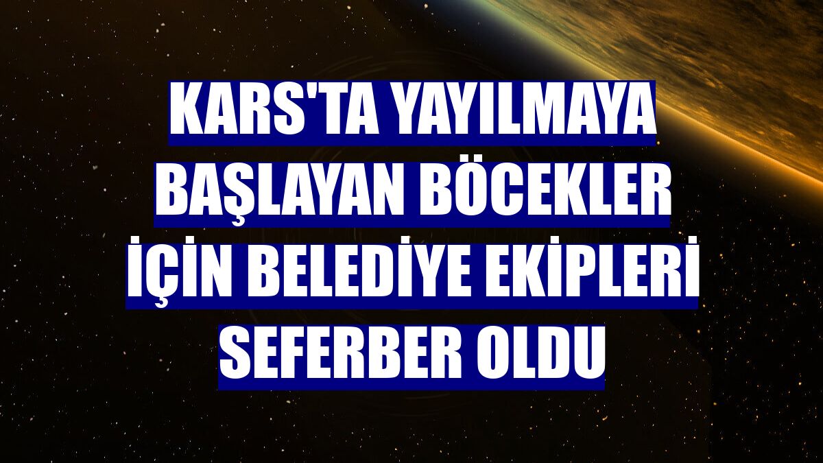 Kars'ta yayılmaya başlayan böcekler için belediye ekipleri seferber oldu