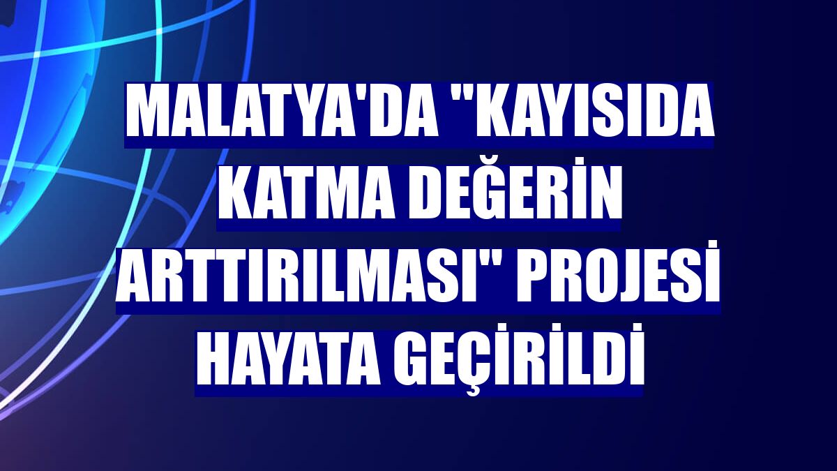 Malatya'da "Kayısıda katma değerin arttırılması" projesi hayata geçirildi