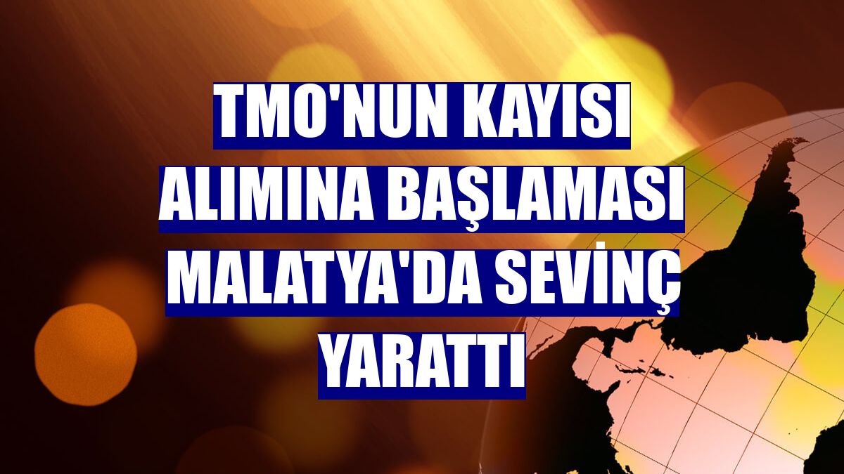 TMO'nun kayısı alımına başlaması Malatya'da sevinç yarattı
