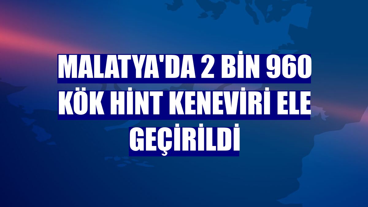 Malatya'da 2 bin 960 kök Hint keneviri ele geçirildi