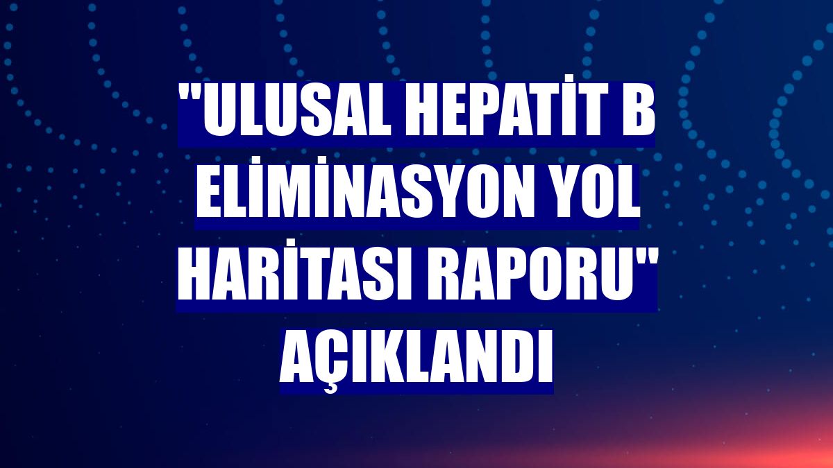 "Ulusal Hepatit B Eliminasyon Yol Haritası Raporu" açıklandı