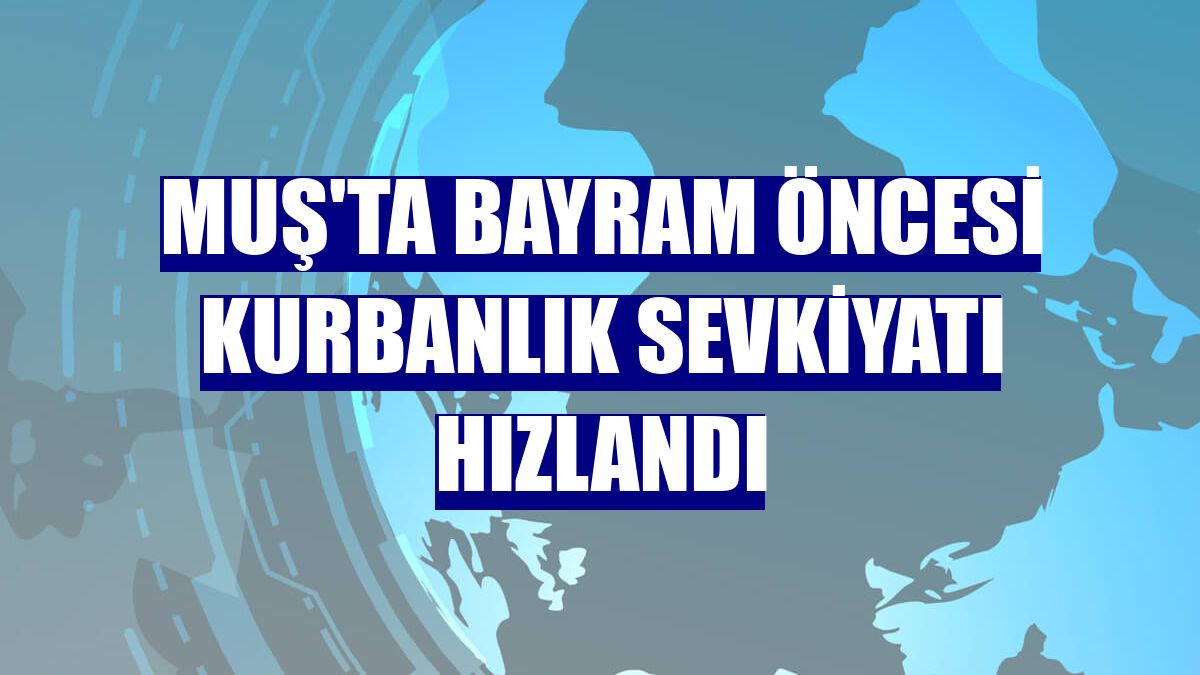 Muş'ta bayram öncesi kurbanlık sevkiyatı hızlandı
