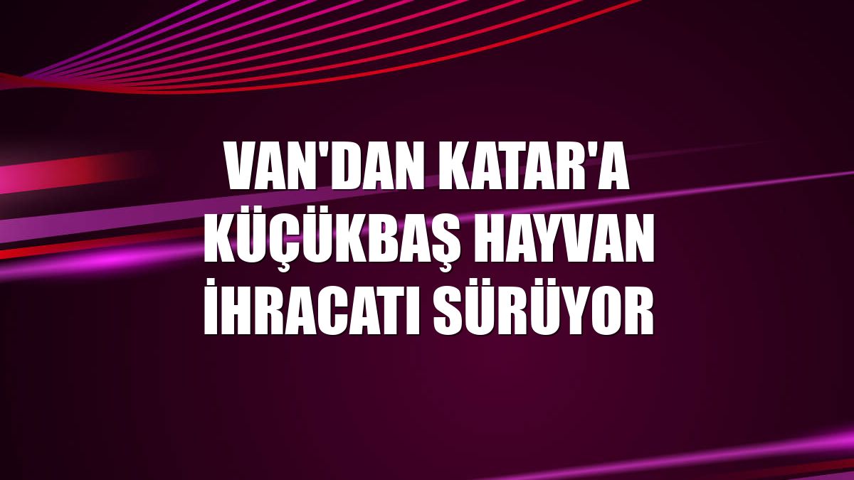 Van'dan Katar'a küçükbaş hayvan ihracatı sürüyor