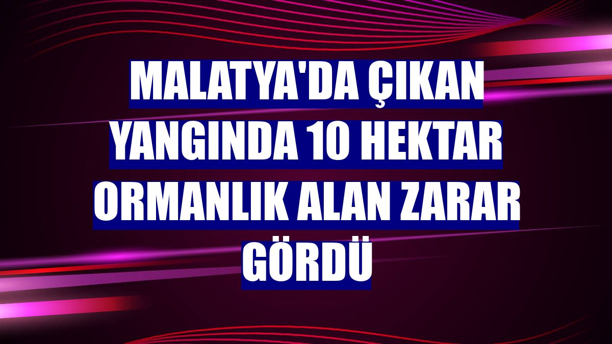 Malatya'da çıkan yangında 10 hektar ormanlık alan zarar gördü