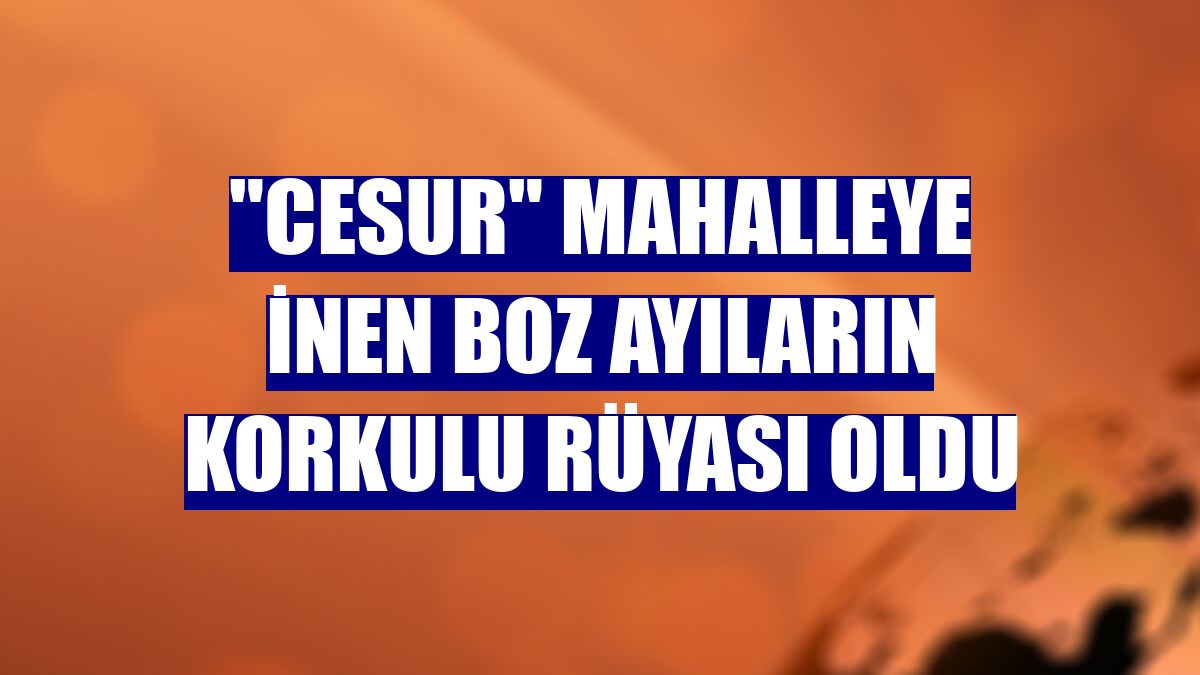 "Cesur" mahalleye inen boz ayıların korkulu rüyası oldu