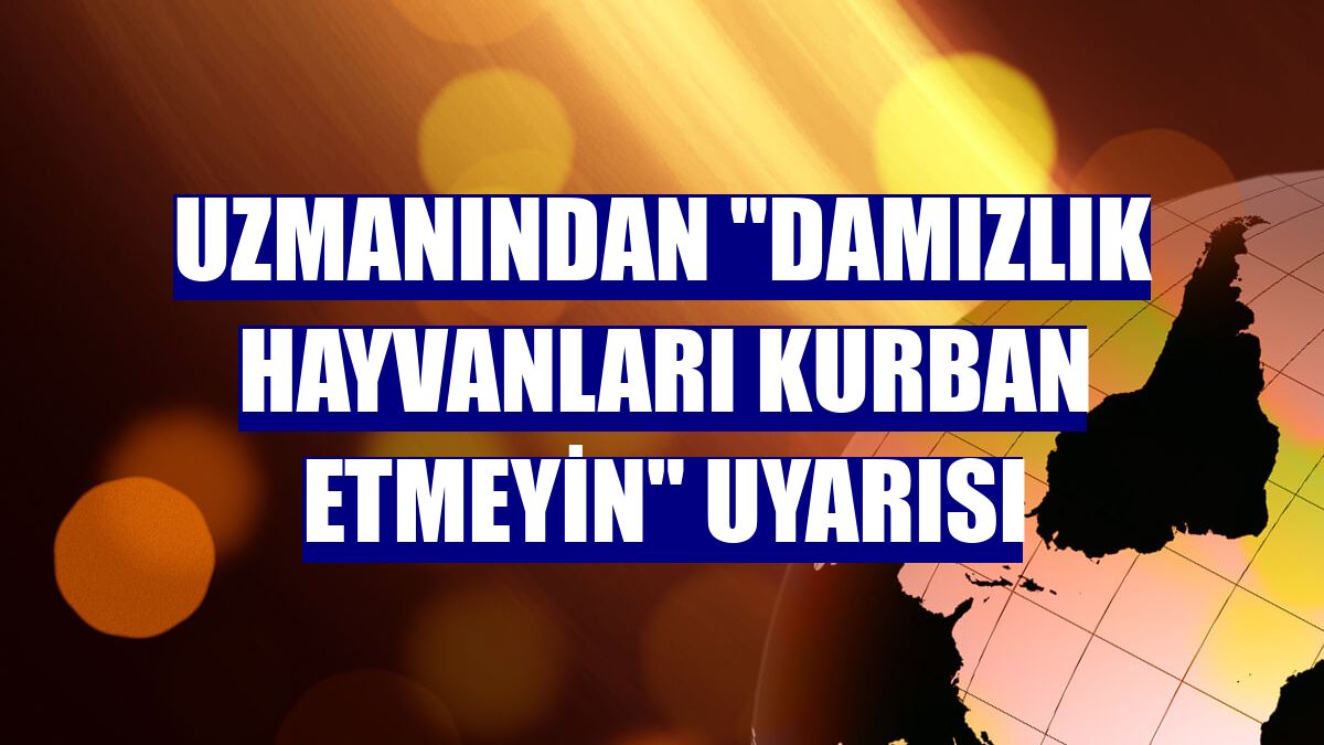 Uzmanından "damızlık hayvanları kurban etmeyin" uyarısı