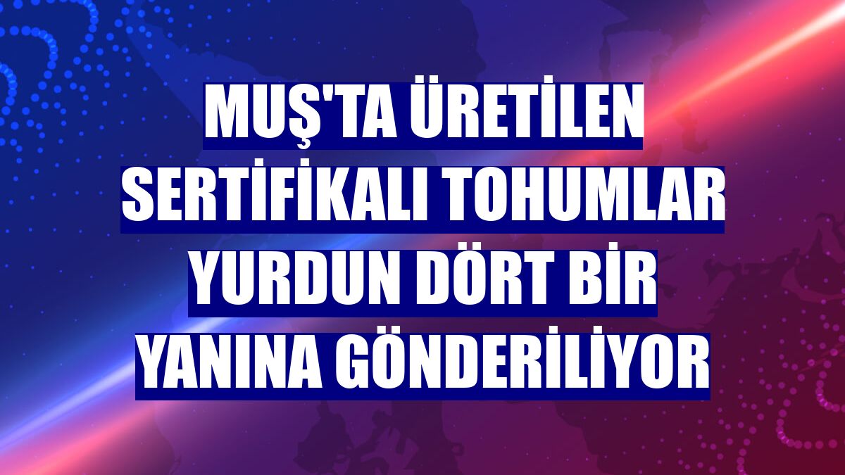 Muş'ta üretilen sertifikalı tohumlar yurdun dört bir yanına gönderiliyor